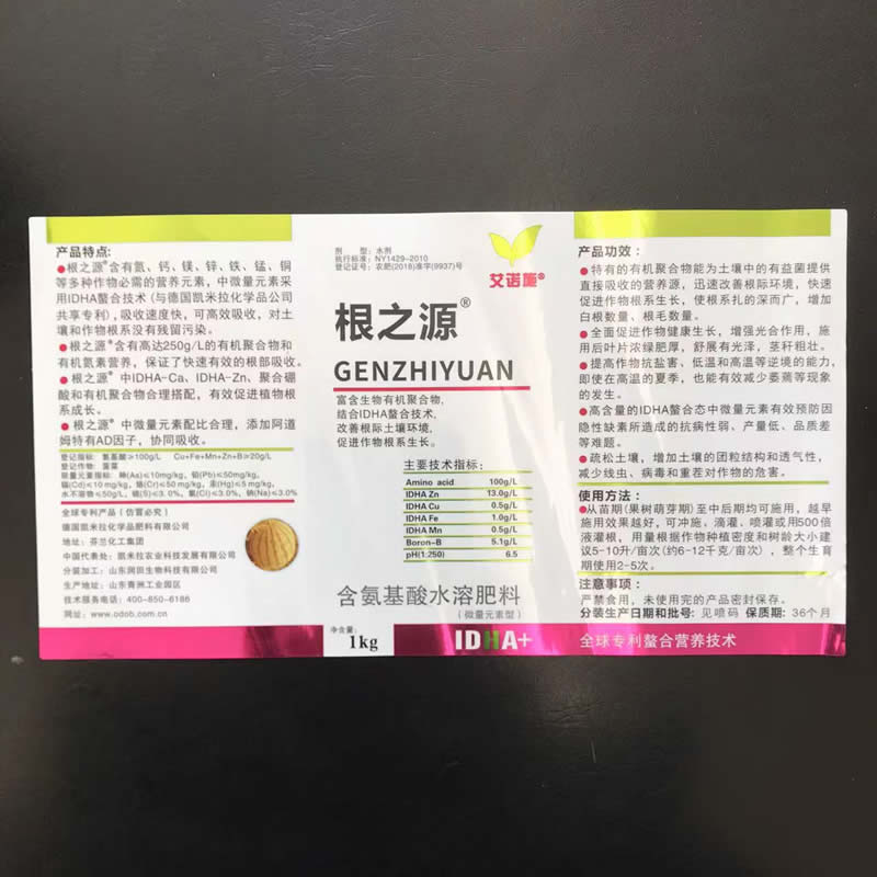 根之源